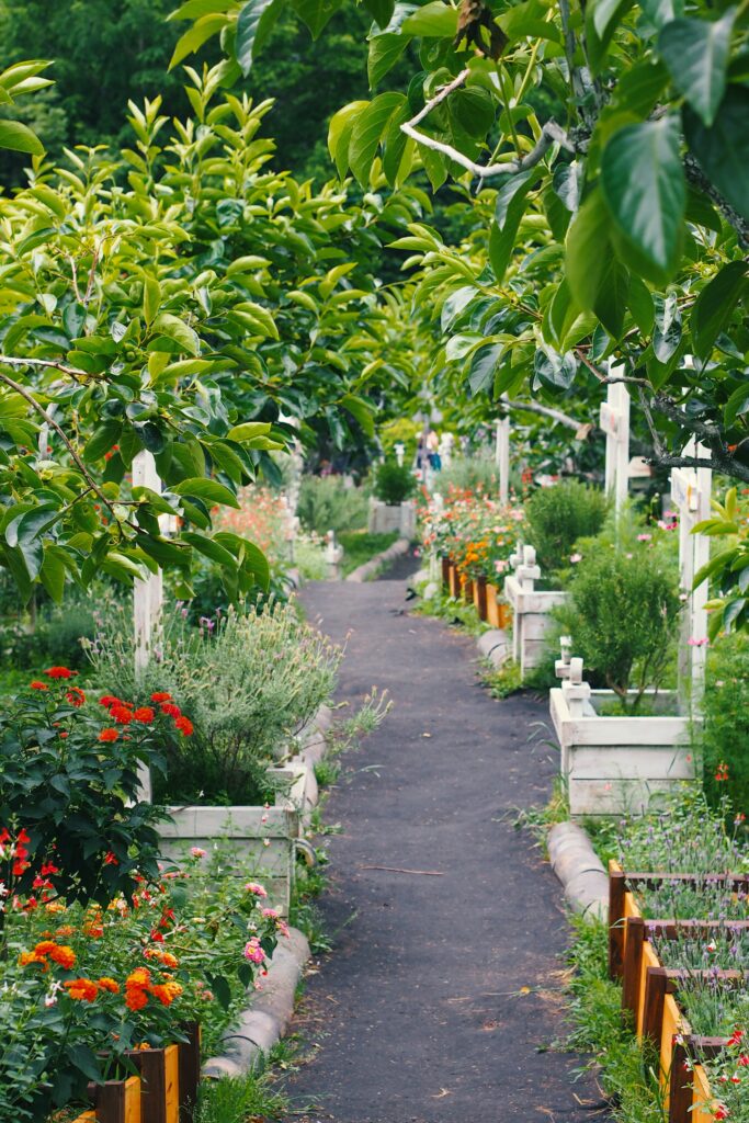 pottedtrees