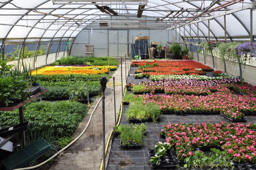 greenhouse
