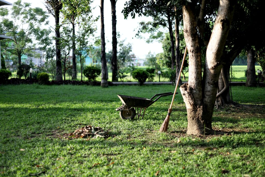 lawn care