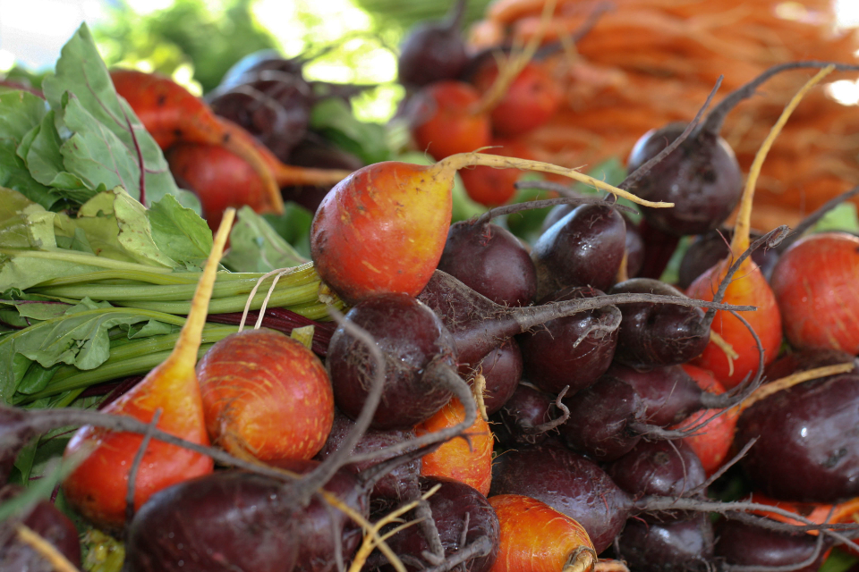 radishes
